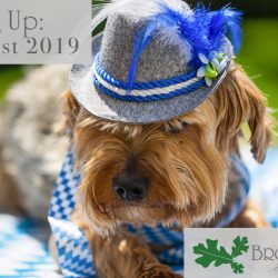 Barktoberfest 2019