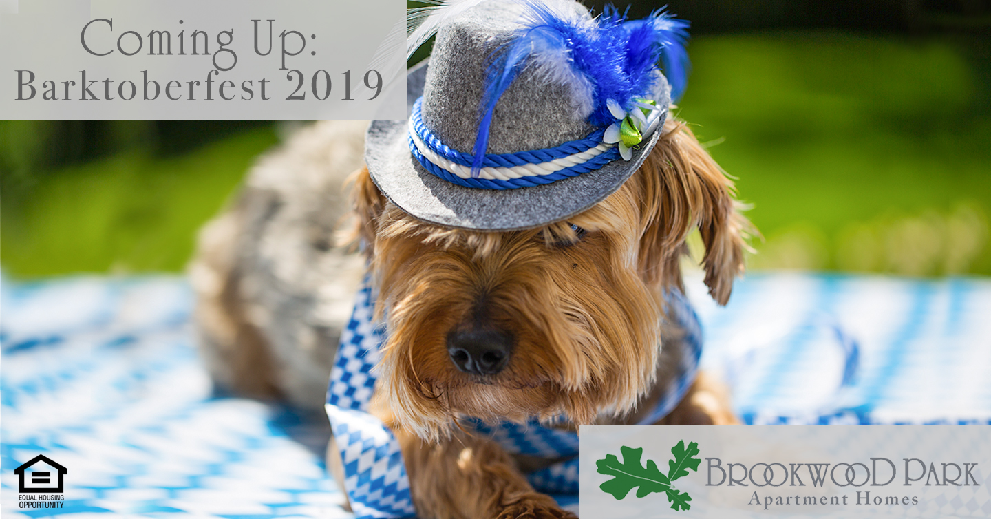 Coming Up: Barktoberfest 2019