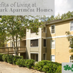 Benefits of Living at Brookwood Park Apartment Homes