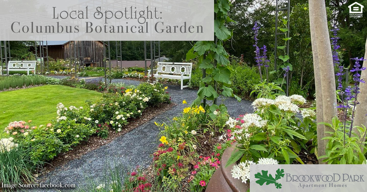 Local Spotlight: Columbus Botanical Garden