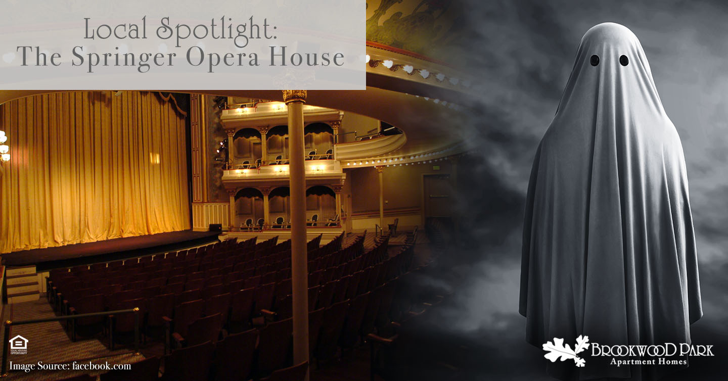 Local Spotlight: The Springer Opera House