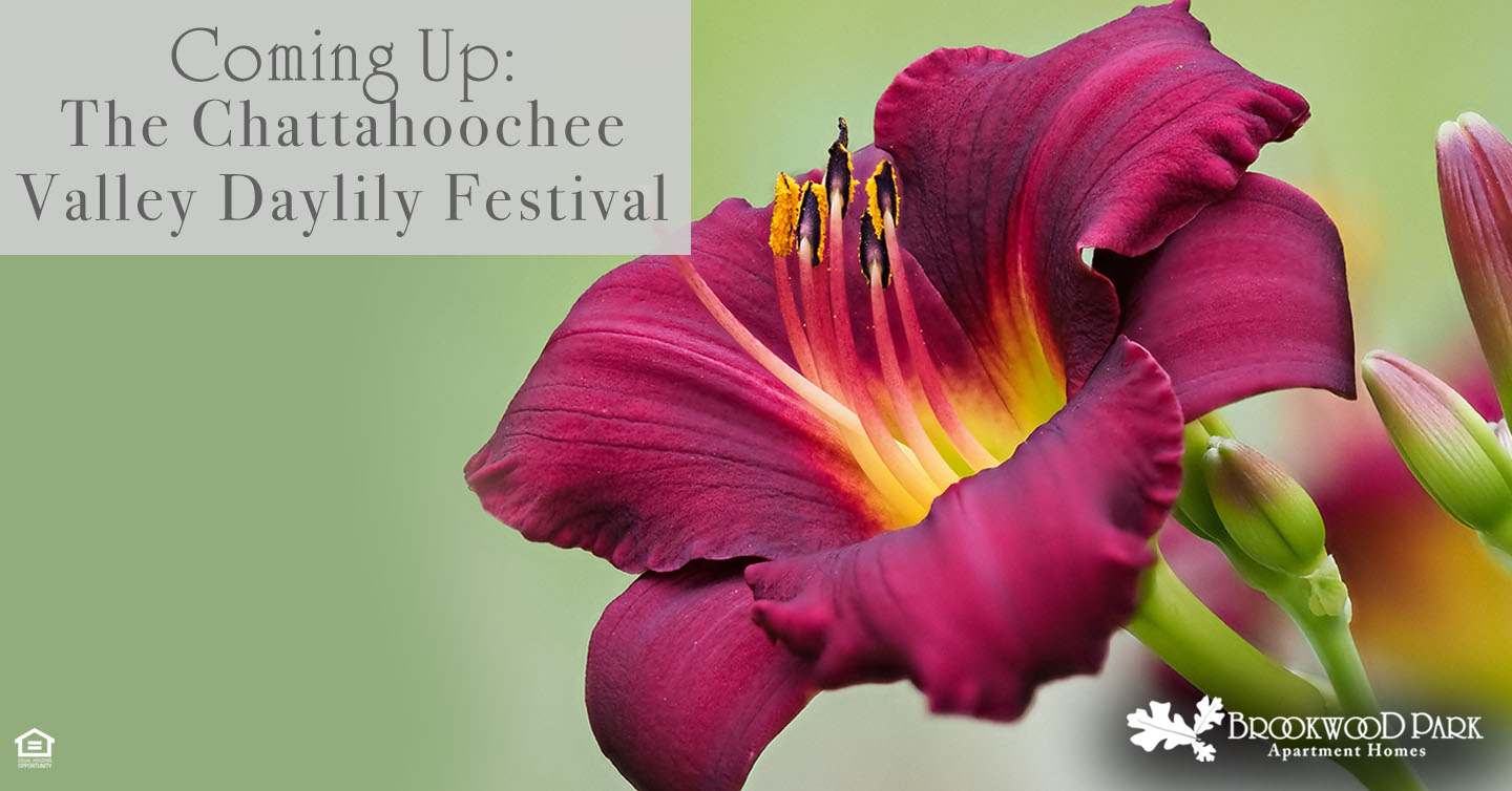 Coming Soon The Chattahoochee Valley Daylily Festival Brookwood Park