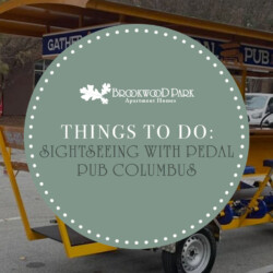 sightseeing with Pedal Pub Columbus